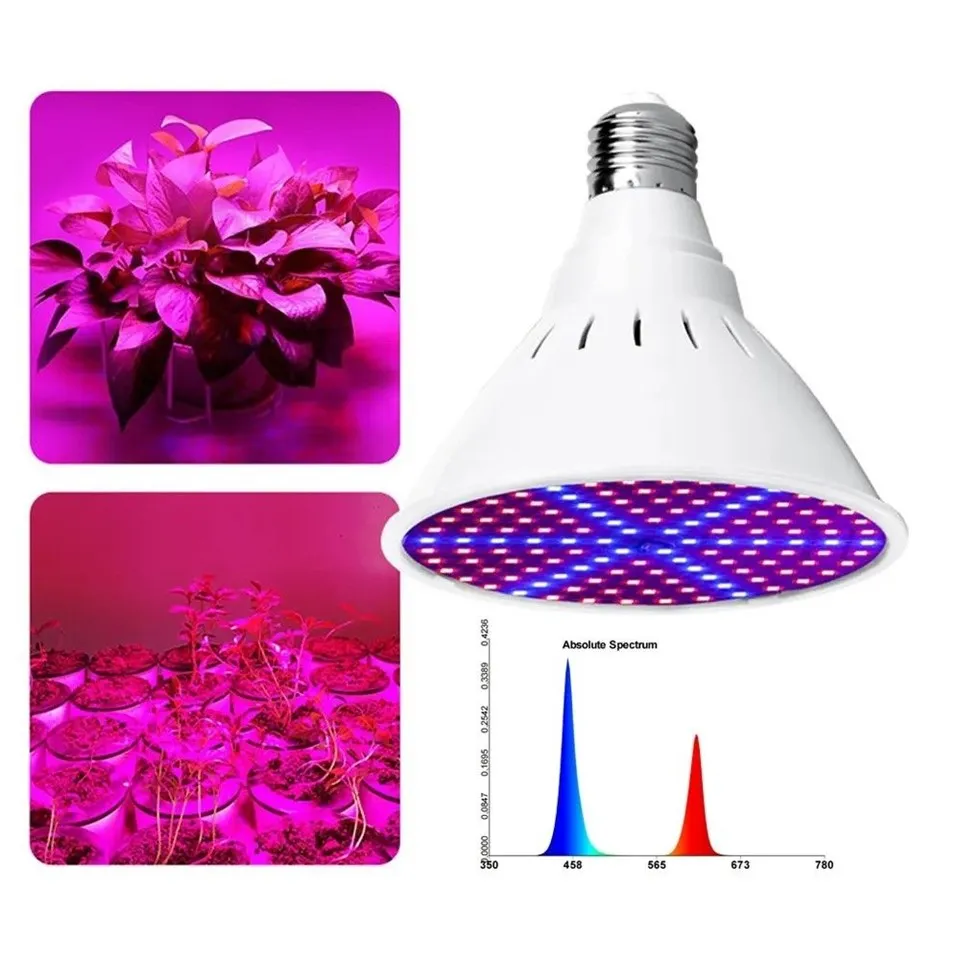 Indoor Grow Light Bulb